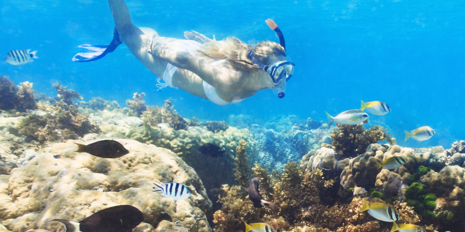 header6